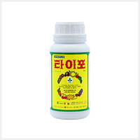 타이포