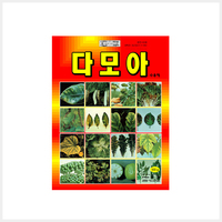다모아
