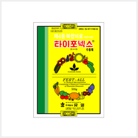 타이포넥스