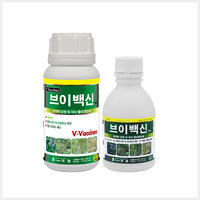 브이백신