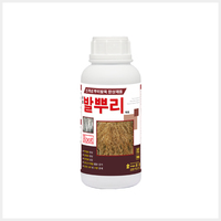 발뿌리