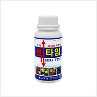 빅타임