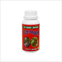 고추낙낙에