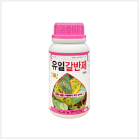 유일 갈반제