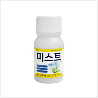 미스트