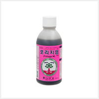 포리지엠