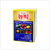 뉴빅