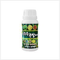 옥수수콩밭에