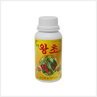 유일 왕초