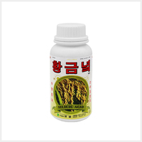 황금녘