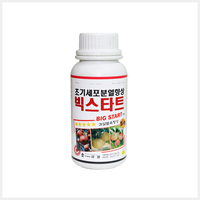 빅스타트