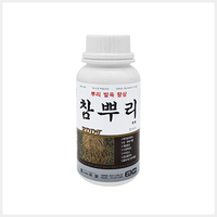 참뿌리