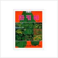 마키아