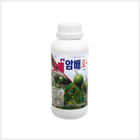 숫배암배로