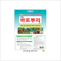 유일 바로뿌리