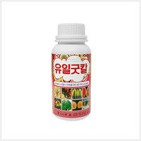 유일굿칼
