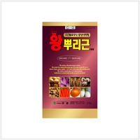 왕뿌리근