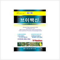 브이백신