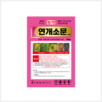 연개소문