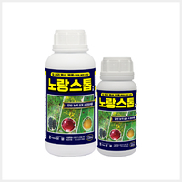 노랑스톱