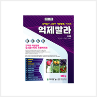 억제칼라