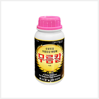 무름칼