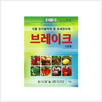 브레이크