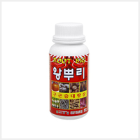 왕뿌리