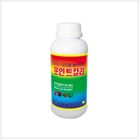 포인트칼라