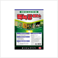백록강플러스