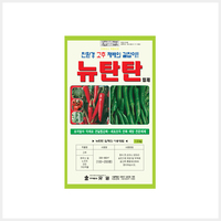 뉴탄탄